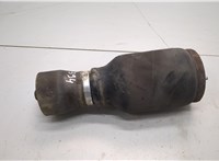 37121095580, 1095580 Пневмоподушка BMW X5 E53 2000-2006 20888702 #1