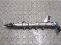 0281006198 Рампа (рейка) топливная Jeep Cherokee 2013-2023 20891409 #1