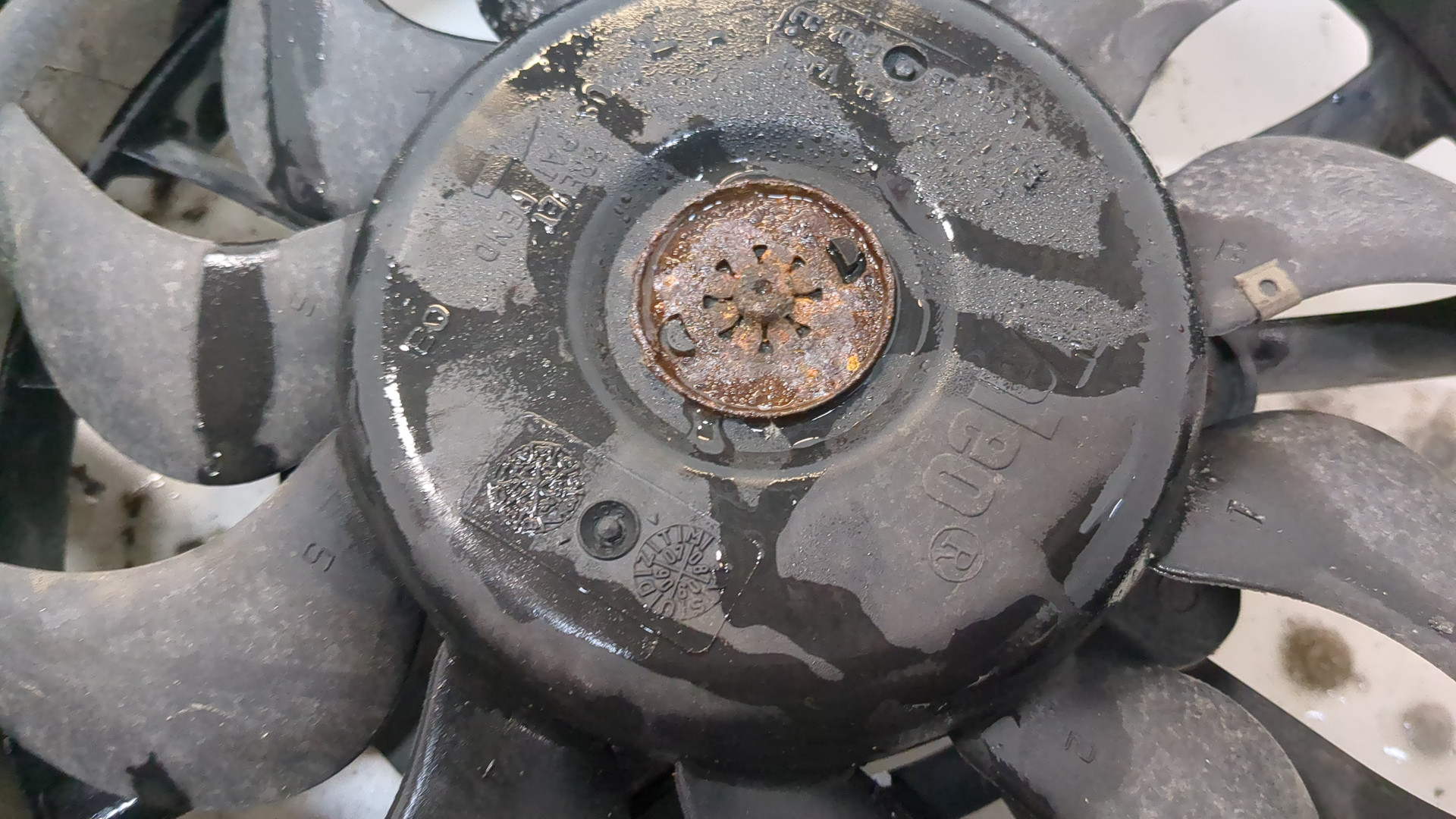 Вентилятор радиатора