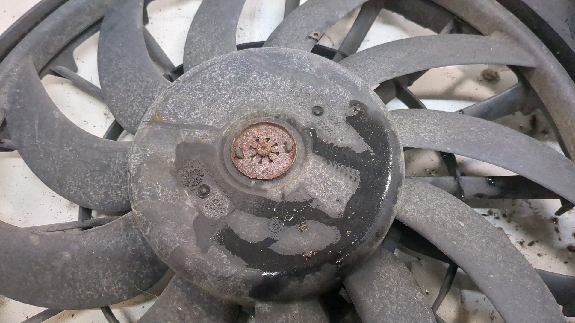 Вентилятор радиатора