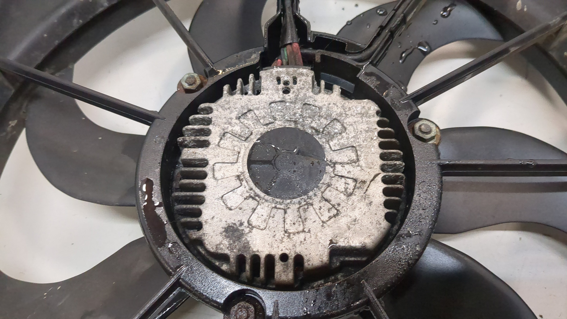 Вентилятор радиатора