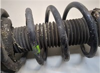 1595291, 4M5118045PBD Амортизатор подвески Ford Focus 2 2005-2008 20892803 #3