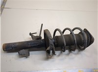 1595291, 4M5118045PBD Амортизатор подвески Ford Focus 2 2005-2008 20892924 #1