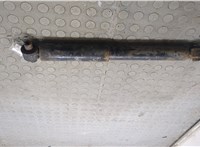 1575028 Амортизатор подвески Ford Focus 2 2008-2011 20893442 #4