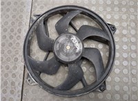 1250G0 Вентилятор радиатора Peugeot 406 1999-2004 20894004 #1
