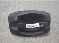 1650900480 Ручка двери наружная Citroen Jumper (Relay) 2014-2025 20894309 #1