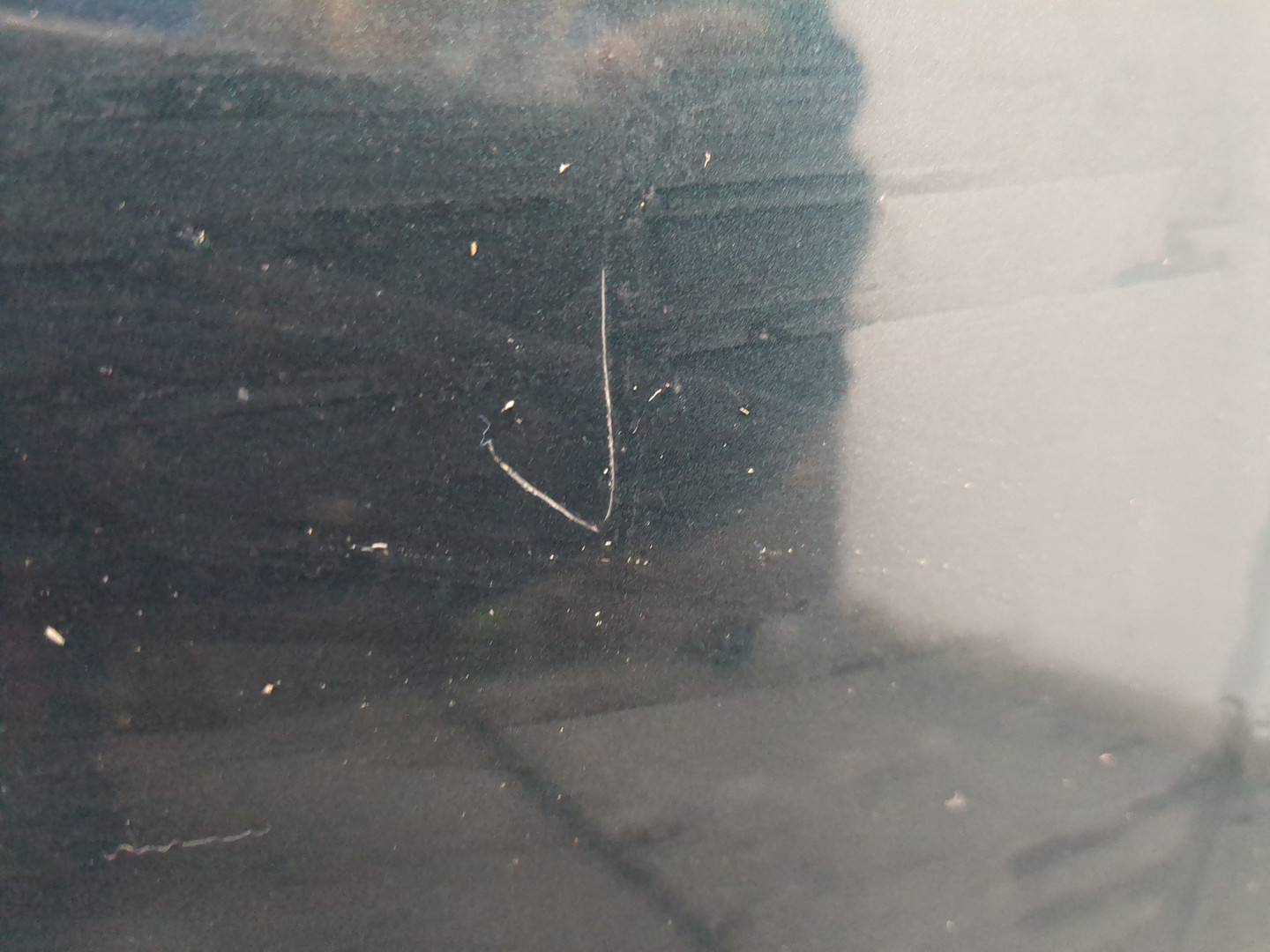 Дверь передняя правая