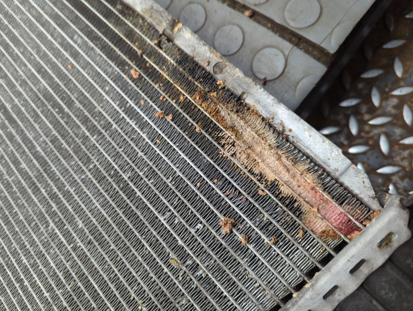 Радиатор охлаждения двигателя основной