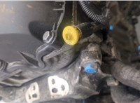 0135LN Двигатель (ДВС) Peugeot 207 2006-2015 20896509 #20