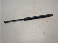 6895001050 Амортизатор крышки багажника Pontiac Vibe 2 2008-2010 20897545 #1