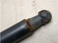 6895001050 Амортизатор крышки багажника Pontiac Vibe 2 2008-2010 20897545 #2