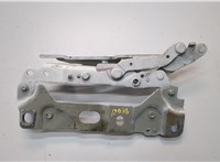41007204555, 7204555 Петля капота BMW 7 F01 2008-2015 20899661 #1