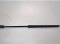 23151210 Амортизатор капота Chevrolet Camaro 2015-2018 20900201 #1