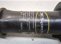4895047AA Амортизатор подвески Chrysler Sebring 2001-2006 20900824 #4