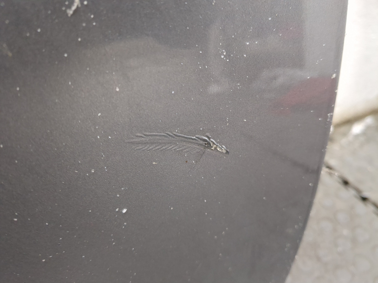 Дверь задняя правая