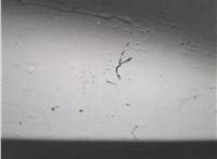 55113619AC Стекло боковой двери Jeep Grand Cherokee 2013-2022 11669373 #3