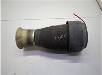 37126795013, 6795013 Пневмоподушка BMW X5 F15 2013-2018 20904335 #1