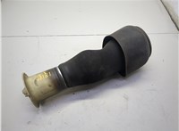 37106781843, 6781843 Пневмоподушка BMW 5 F07 Gran Turismo 2010-2017 20904359 #1