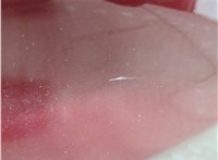 23104917 Стекло боковой двери Chevrolet Volt 2015-2019 11670051 #4