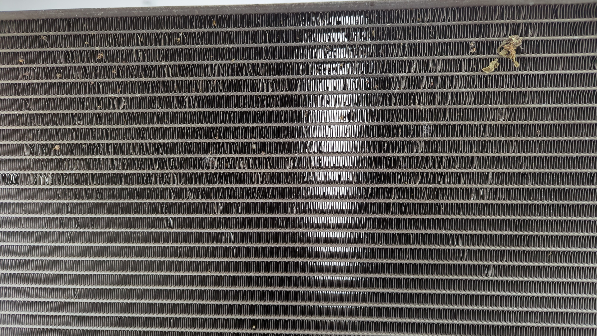 Радиатор охлаждения двигателя основной