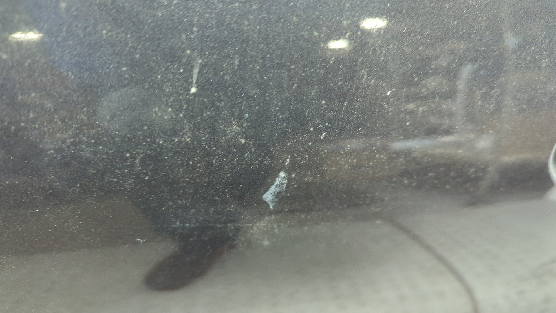 Дверь передняя левая