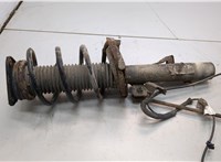 1619269, 1348873 Амортизатор подвески Ford Focus 2 2005-2008 20907562 #1