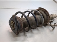 1619269, 1348873 Амортизатор подвески Ford Focus 2 2005-2008 20907562 #2