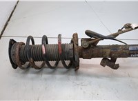 1619269, 1348873 Амортизатор подвески Ford Focus 2 2005-2008 20907562 #3