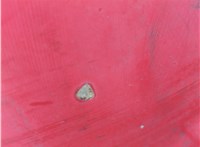 2D1823033A Капот Volkswagen LT 28-46 1996-2006 20907780 #30