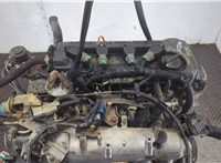 49110BM701 Насос гидроусилителя руля (ГУР) Nissan Almera N16 2000-2006 11671779 #24