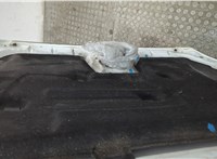 1521601 Капот Ford Focus 2 2008-2011 20909722 #2