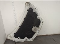 1521601 Капот Ford Focus 2 2008-2011 20909722 #15