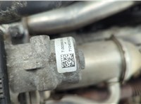 7701479144, 7711497468 Двигатель (ДВС) Renault Scenic 2009-2012 20911427 #6