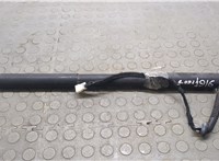 51247340976 Амортизатор крышки багажника BMW 3 F30 2012-2019 20911916 #3