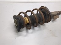 1619274, 1348873 Амортизатор подвески Ford Focus 2 2005-2008 20913007 #2