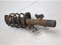 1619274, 1348873 Амортизатор подвески Ford Focus 2 2005-2008 20913007 #3