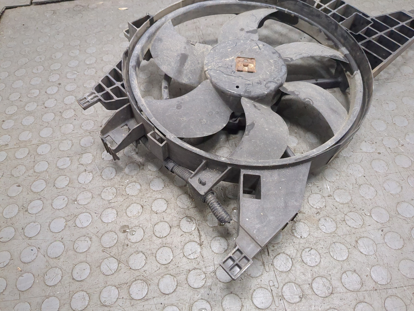 Вентилятор радиатора