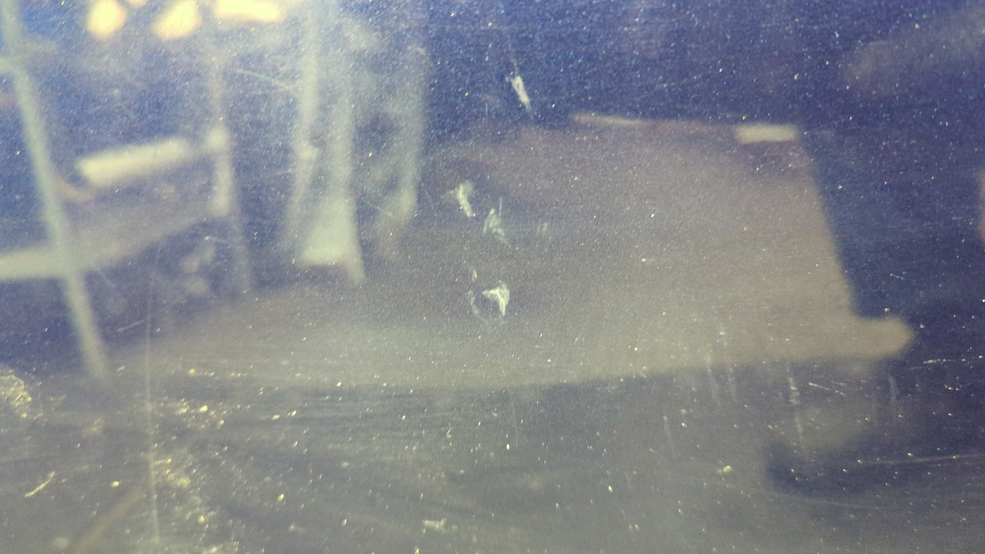 Дверь задняя левая