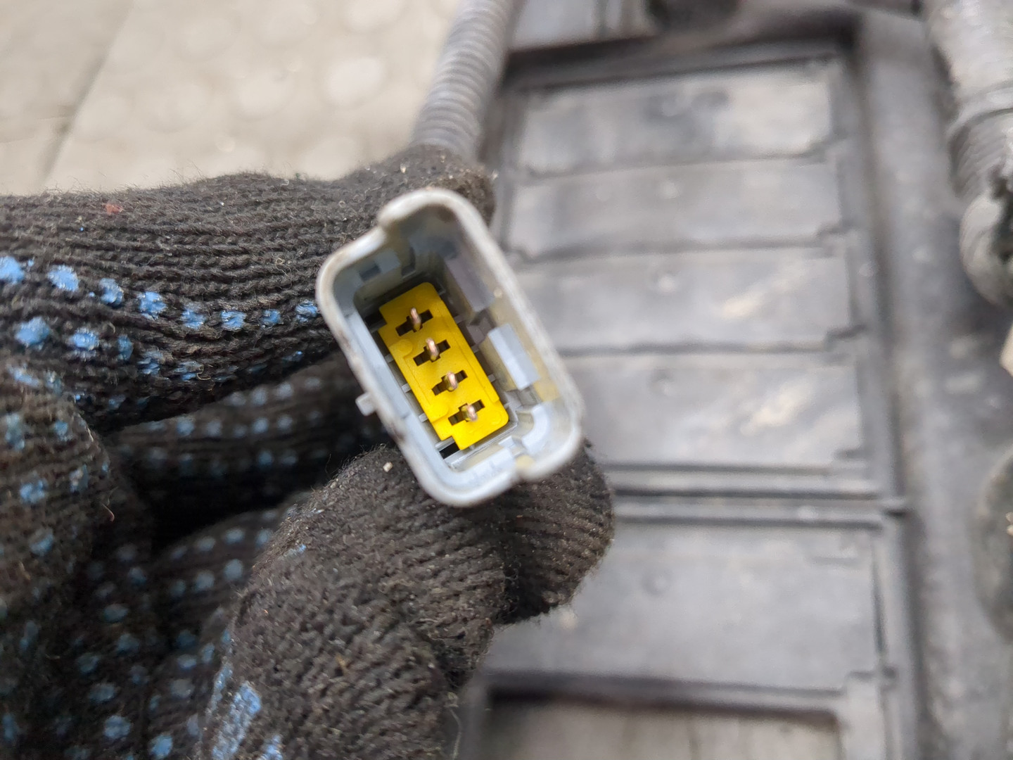 Вентилятор радиатора