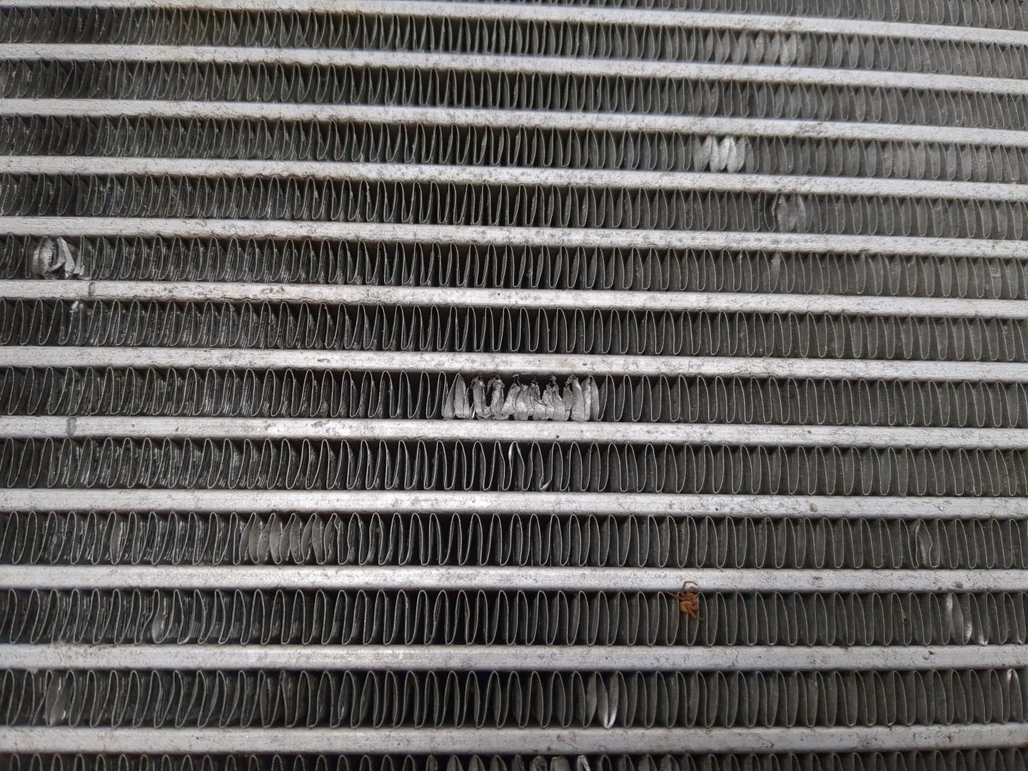 Интеркулер