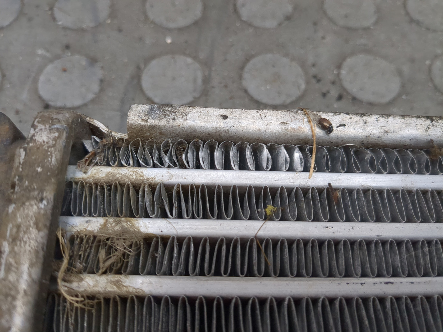 Интеркулер