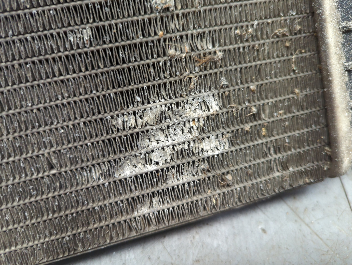 Радиатор охлаждения двигателя основной