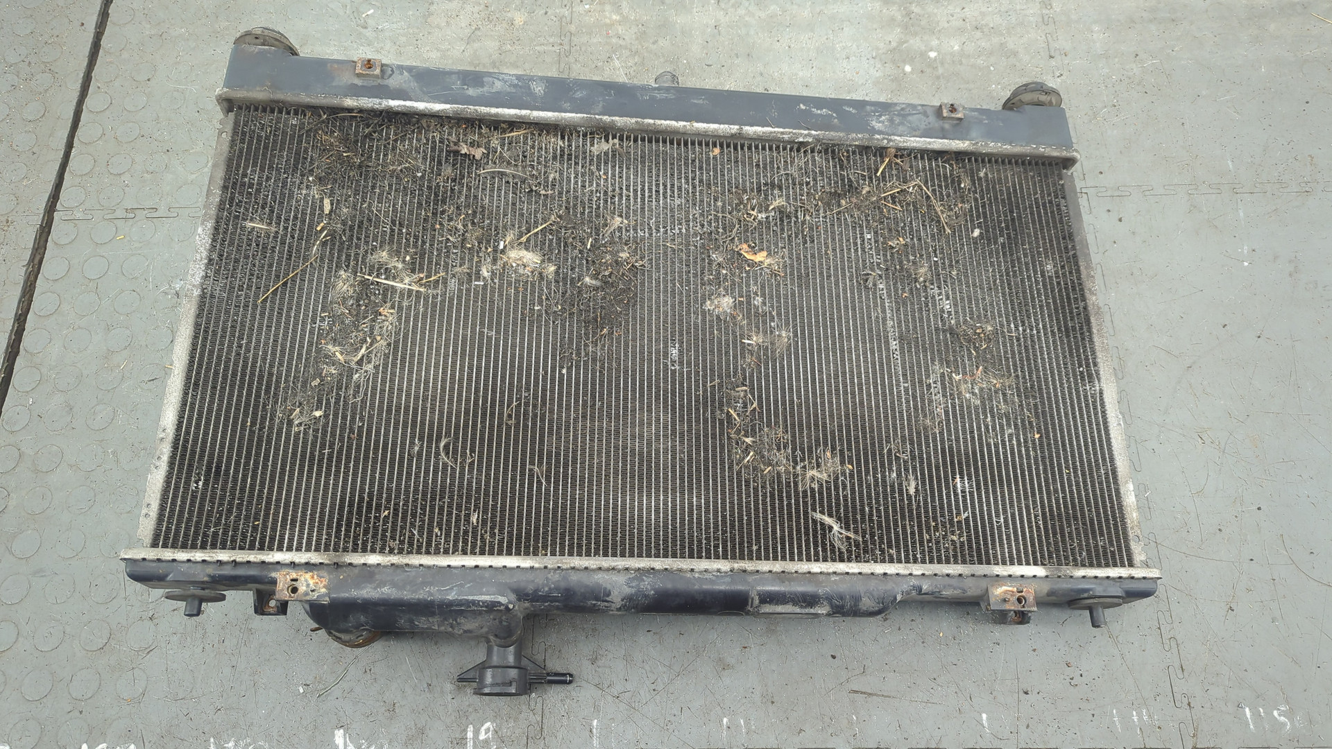 Радиатор охлаждения двигателя основной