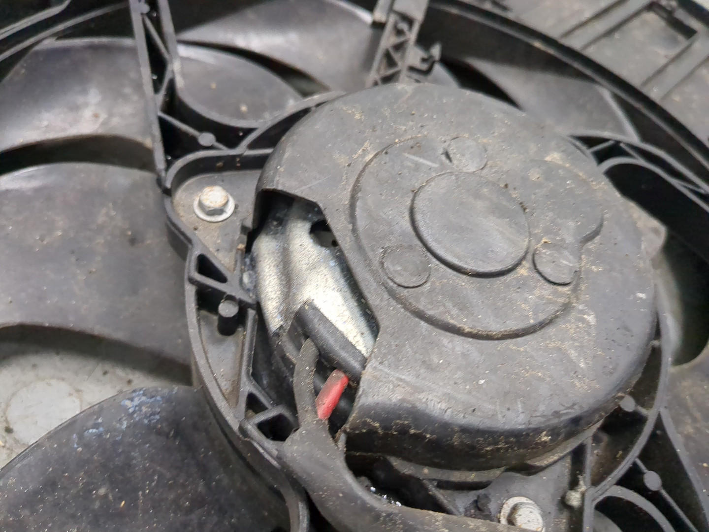 Вентилятор радиатора