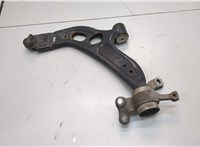 31126879843, 6879843 Рычаг подвески Mini Clubman (F54) 2015-2024 20918987 #1