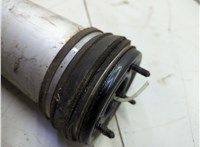A2203205013 Амортизатор подвески Mercedes S W220 1998-2006 20920714 #3
