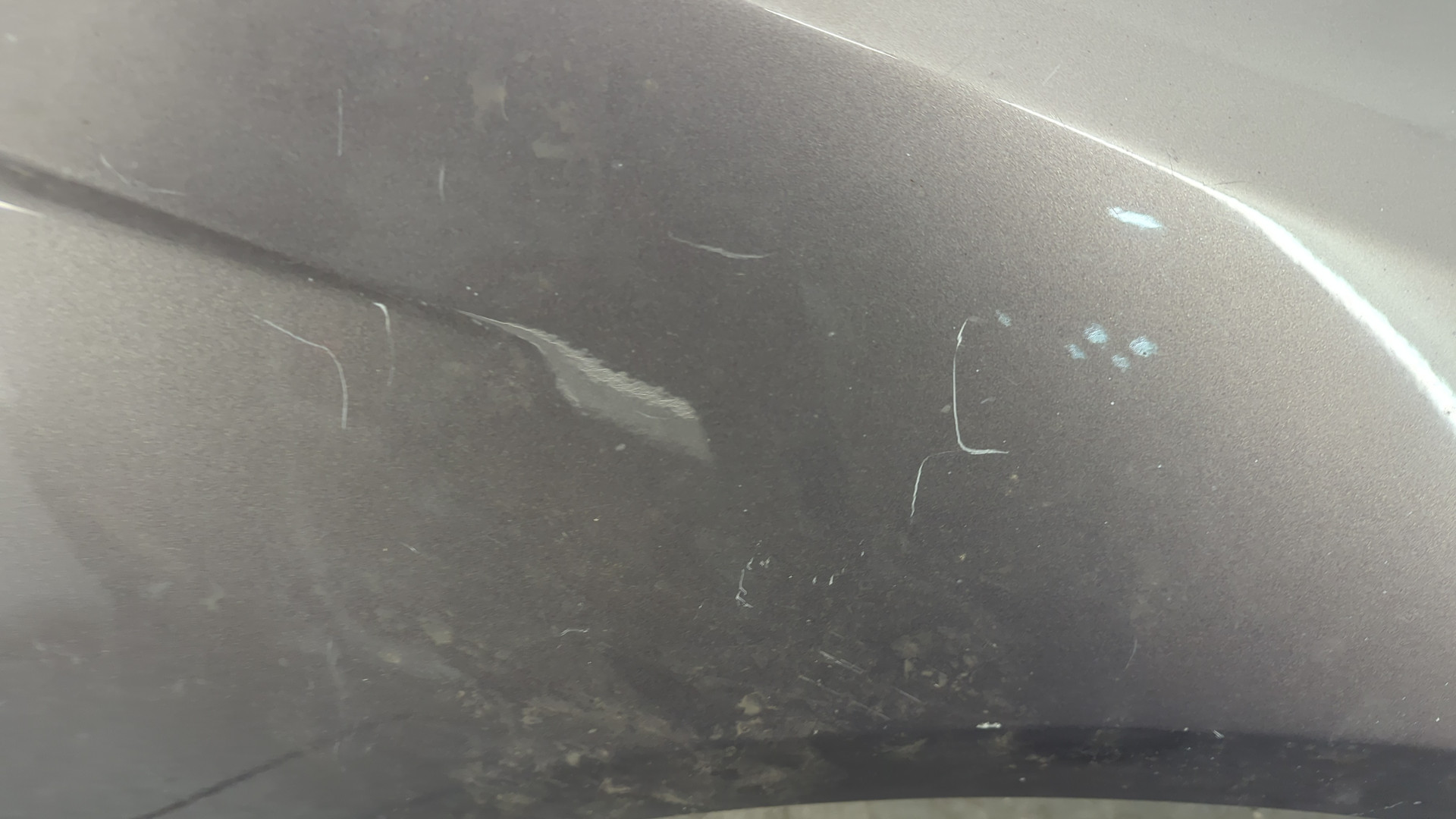 Крыло переднее правое