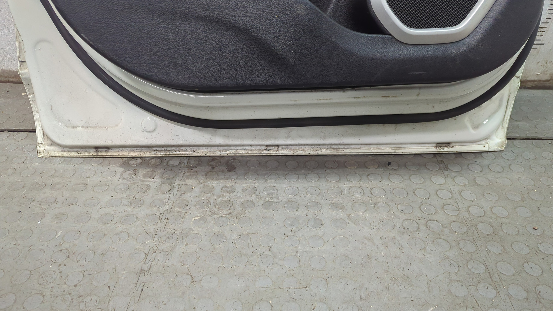 Дверь передняя левая