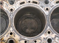  Блок цилиндров (Шорт блок) Ford Fusion 2002-2012 20922177 #11