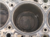  Блок цилиндров (Шорт блок) Ford Fusion 2002-2012 20922177 #12